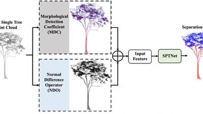 SPTNet: Sparse Convolution and Transformer Network for Woody and Foliage Components Separation From Point Clouds featured image